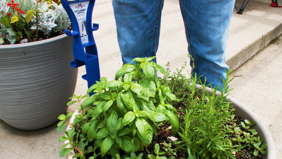 moving a potted plant